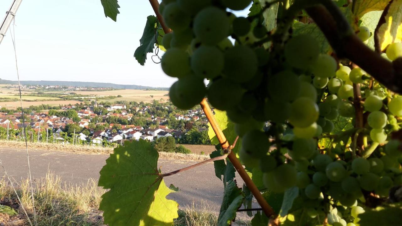 Haus Mit Seele Im Nahetal Weinsheim  Exterior photo
